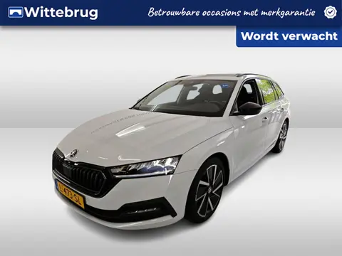 Škoda Octavia Combi 1.0 TSI Sport Business / Trekhaak / Parkeersensoren voor en achter / Navi / Crui