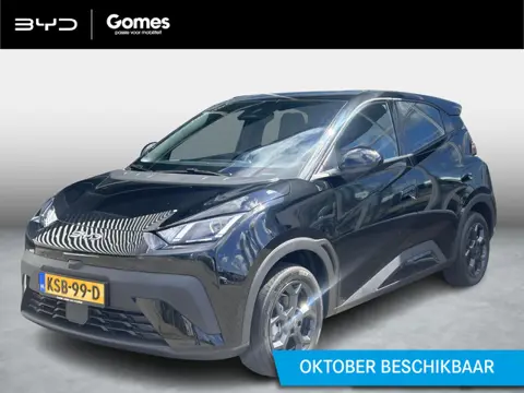 BYD DOLPHIN SURF Boost 43 kWh | Apple Carplay & Android Auto | Adaptief cruise control | Stoelverwar