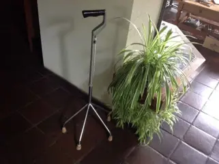 Wandelstok 4-poot verstelbaar