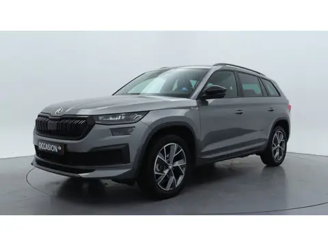 Škoda Kodiaq 1.5 TSI Sportline Business / Leder / Automaat
