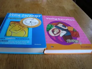 Beatrijs smulders /mariel croon - veilig zwanger / bevallen