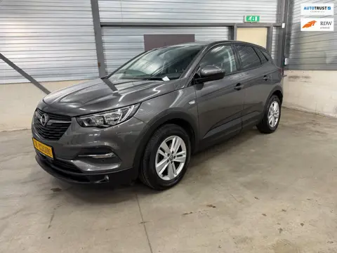Opel Grandland X 1.2 Turbo Business Edition 2e eigenaar riem vervangen