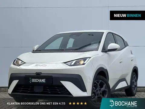 BYD DOLPHIN SURF Boost 43 kWh l Apple Carplay/Android Auto l rondomzicht camera l
