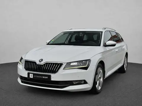 Skoda Superb Combi 1.6 TDI Ambition | Trekhaak | LED | Apple Carplay | DAB+ | Cruise | Dealer onderh