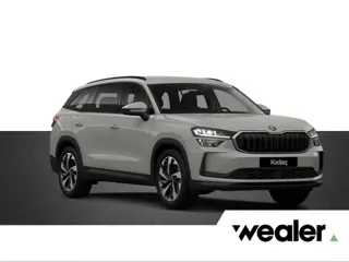 Škoda Kodiaq Business Edition Plus 1.5 TSI PHEV 204 PK DSG Automaat | Trekhaak |