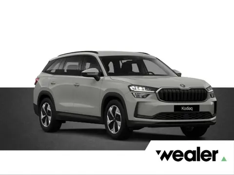 Škoda Kodiaq Business Edition 1.5 TSI PHEV 204 PK DSG Automaat | Trekhaak | extra getint glas |
