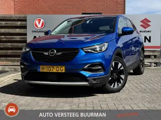 Opel Grandland X 1.2 Turbo Business Executive Camera, Apple Carplay/Android Auto, Halfleren Bekledin