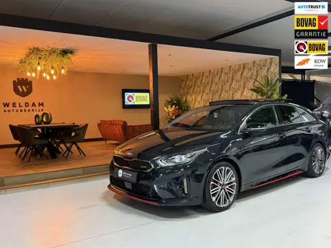 Kia ProCeed 1.6 T-GDI GT 12-2019 Garantie|205PK|Pano|JBL|ACC|Memory|Trekhaak|Rijklaar