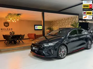 Kia ProCeed 1.6 T-GDI GT 12-2019 Garantie|205PK|Pano|JBL|ACC|Memory|Trekhaak|Rijklaar
