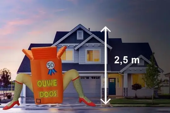 Sarah pop ouwe doos, landelijke bezorging mogelijk