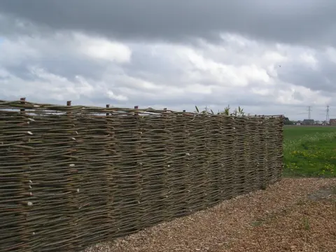 Wilgentenenschutting vlechtwerken