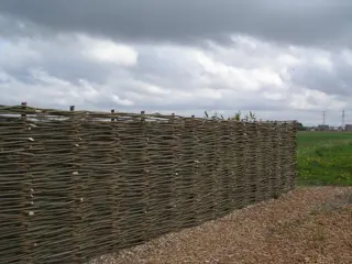 Wilgentenenschutting vlechtwerken