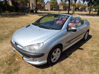 PEUGEOT 206 20-3-2027  a p k 