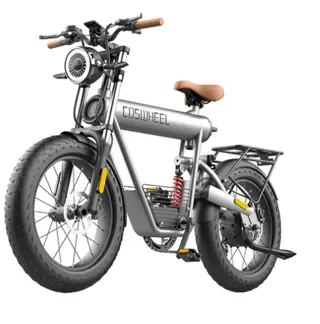 COSWHEEL T20R All-Terrain E-Bike, 20*4.0'' Tires, 750W