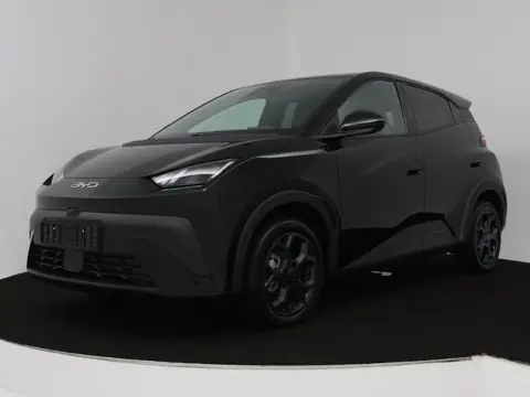 BYD DOLPHIN SURF Boost 43 kWh | Nieuw & Direct uit voorraad leverbaar |