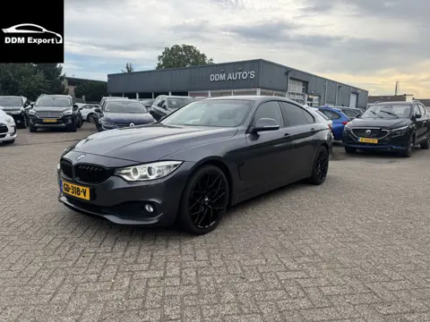 BMW 4 Serie Gran Coupé 420d Business AUTOMAAT (bj 2015)