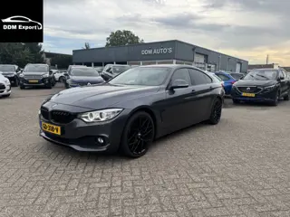 BMW 4 Serie Gran Coupé 420d Business AUTOMAAT (bj 2015)