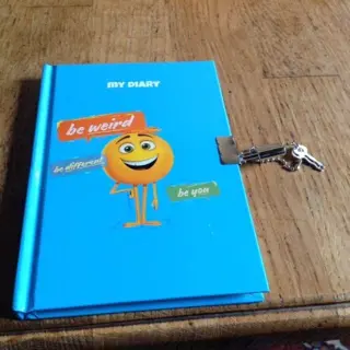 Dagboek met slot - nieuw