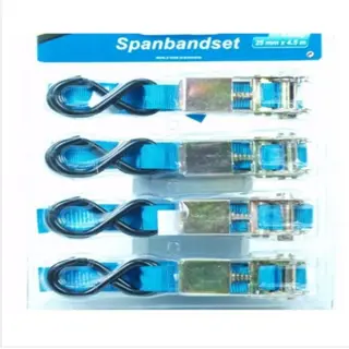 Trailergear 4-delige spanbandset profi