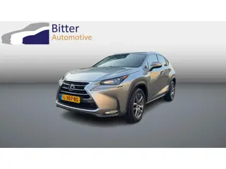 Lexus NX 300h AWD Luxury Line Leder/Winterset
