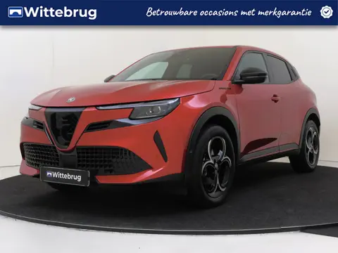 Alfa Romeo Junior 1.2 Turbo Hybrid Ibrida Speciale | Elek. Achterklep | Navigatie | Keyless | Voorui