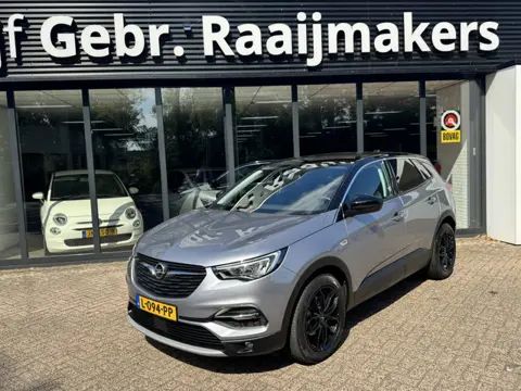 Opel Grandland X 1.2 Turbo Business Executive*Navigatie*Winterpakket*