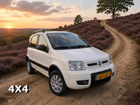 Fiat Panda 1.2 Climbing 4x4