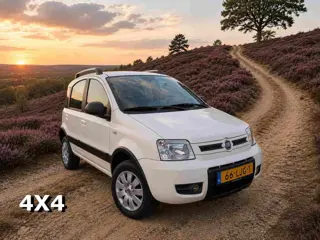 Fiat Panda 1.2 Climbing 4x4