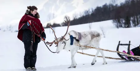 Tromsø Rendiersafari bij Camp Tamok