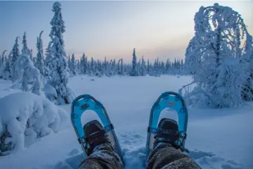 Ontdek de wildernis van Lapland, huskyavontuur