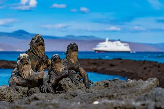 HX Expeditie Galapagos | De beste eilanden van de Galapagos