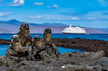 HX Expeditie Galapagos | De beste eilanden van de Galapagos
