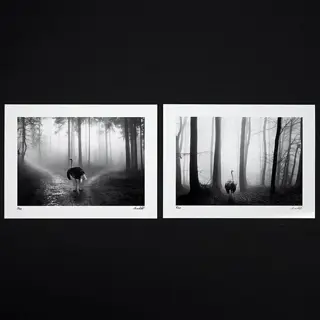 Frank Machalowski - tierwald#6 &amp; tierwald#14