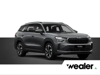 Škoda Kodiaq Business Edition Plus 1.5 TSI PHEV 204 PK | Trekhaak | "Canton" Geluid | Stoelen geheug