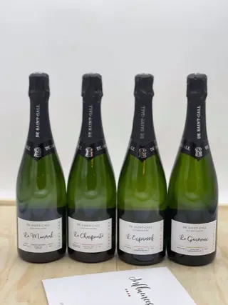 De Saint Gall: "Le Mineral" &amp; "Le Charpenté" &amp;