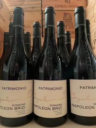 2015 Domaine Napoléon Brizi Cuvée Inizia - Corsica - 12