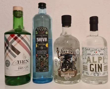 Ben Bracken Gin, Shjva Gin, Steam Brew Gin and Alpi Gin -