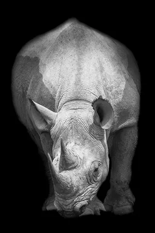 Marco Simoni - 13000 grams