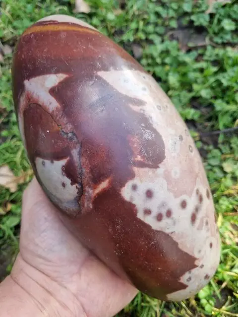 XL Shiva Lingam 22,5 x 11,5 cm Massief - 4.078 kg