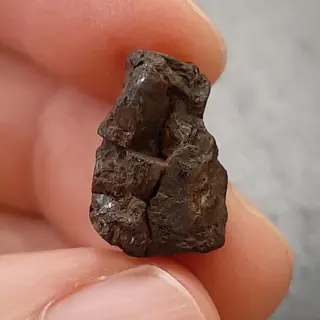 Pallasiet NWA 7920 meteoriet - 3.2 g