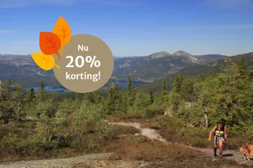 Herfstarrangement Vrådal Hytter