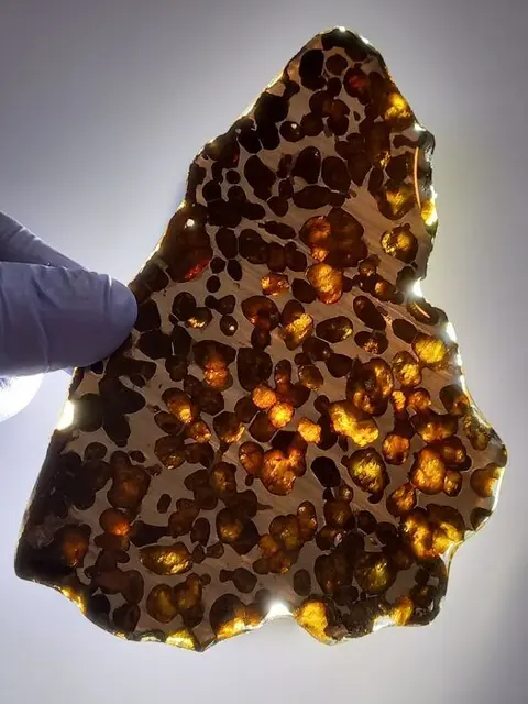 SERICHO METEORIET (Kenia 2016) PALLASIET - 13.7×8.5×0.5 cm