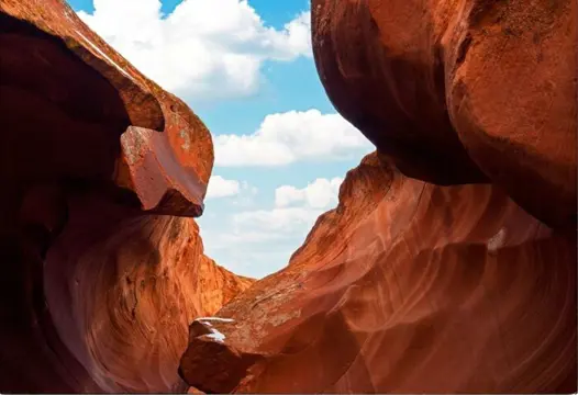 Roberto Cavalli - "Around America"