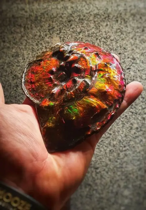 Edelsteen - Ammoliet, Ammoniet - Ammoliet Ammoniet -