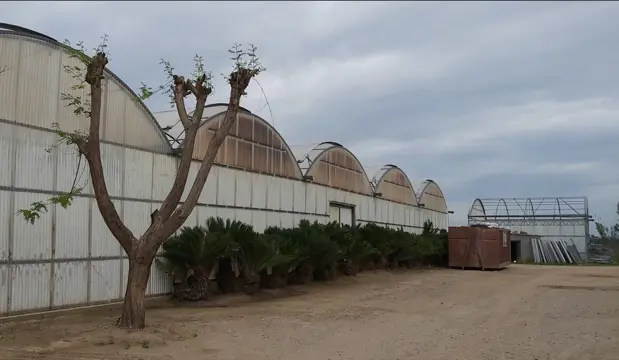 Agrifarm Maresme Spanje