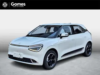 Dongfeng BOX Premium Edition 42 kWh | 360° camera | Adaptieve cruise control | Smartphone integratie