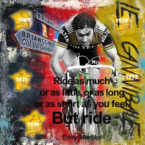 Wielrennen - Eddy Merckx - Kunstwerk