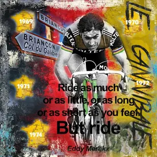 Wielrennen - Eddy Merckx - Kunstwerk