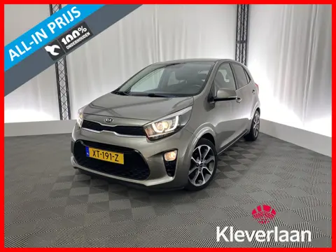 Kia Picanto 1.0 CVVT Design Edition | Apple carplay | Camera | Trekhaak | 5-deurs | Navi | Leer | Cr
