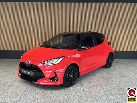 Toyota Yaris 1.5 Hybrid Executive HUD | Camera | JBL | Stoelverwarming
